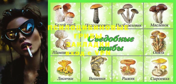 молекула духа Пролетарск