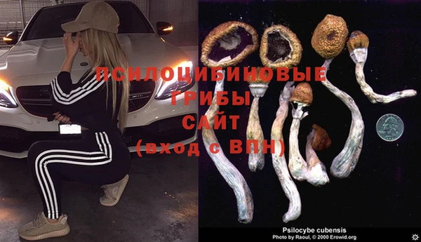 молекула духа Пролетарск