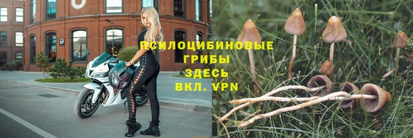 спиды Протвино