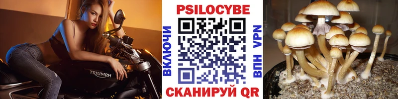 Псилоцибиновые грибы MAGIC MUSHROOMS  цена наркотик  Сергач 